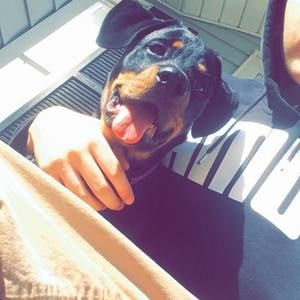 Meet your Posher, Marcus